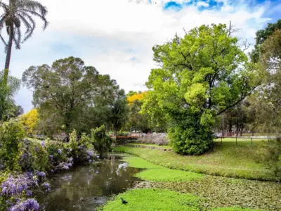Parramatta